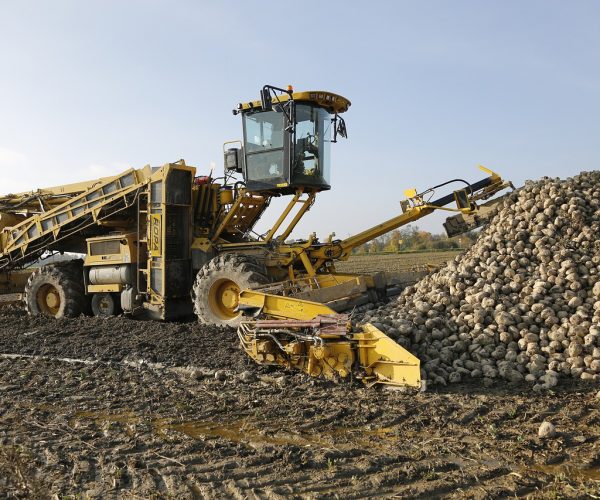 excavator, field, agriculture